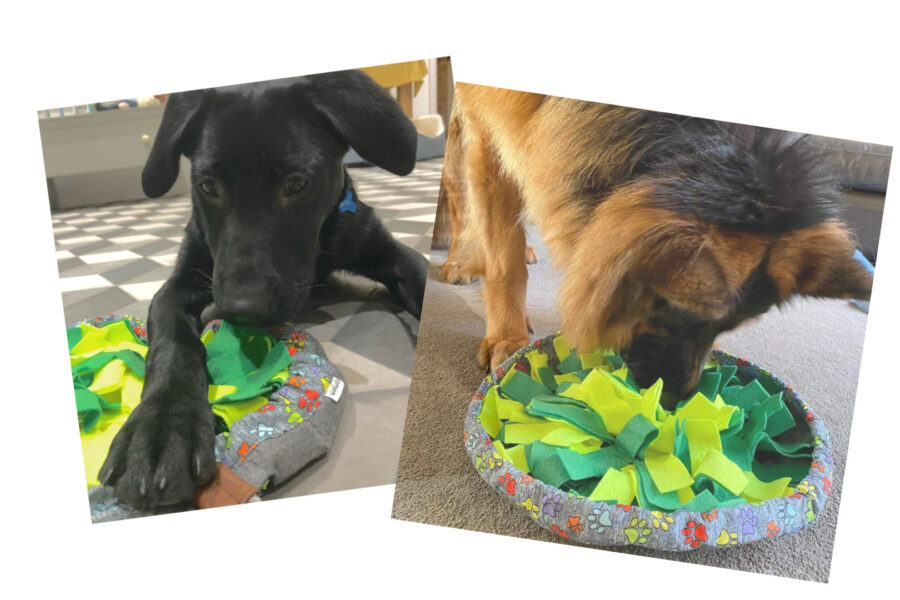 2 dogs with Wuf salad