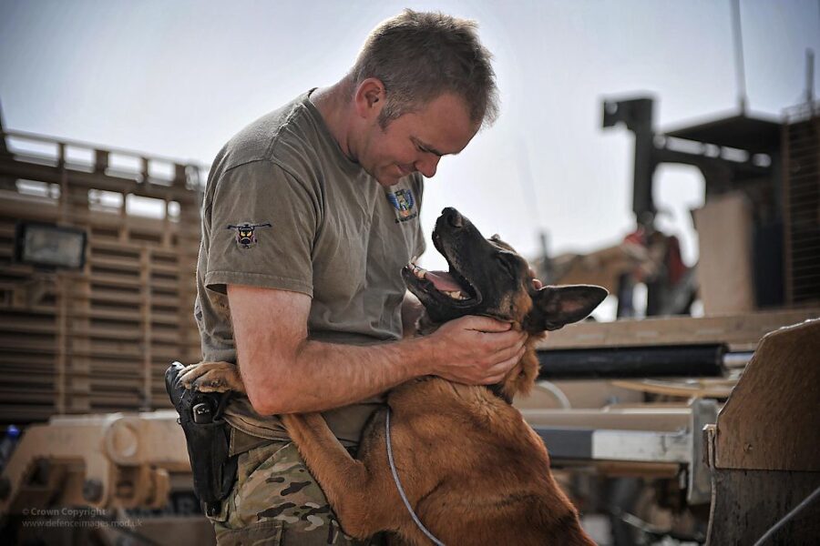 serviceman with malinois
