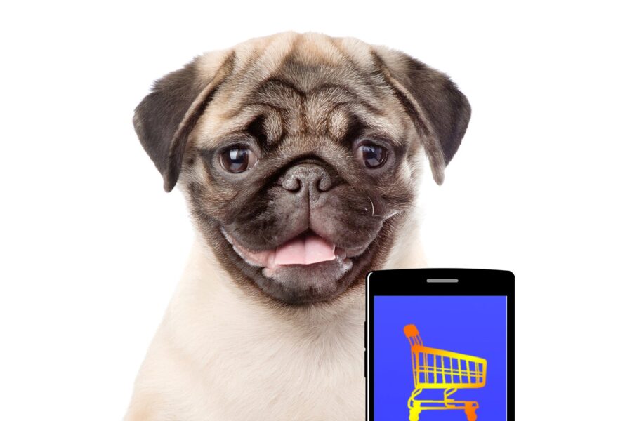 pug dog with mobile phone and app