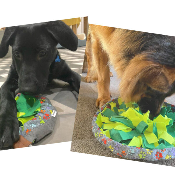 2 dogs with Wuf salad