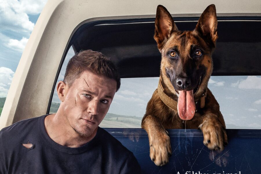 Dog Movie - Belgian Malinois Shepherd dog and Channing Tatum