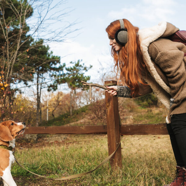 Redhaired girl with headphones crouches towards Beagle dog.