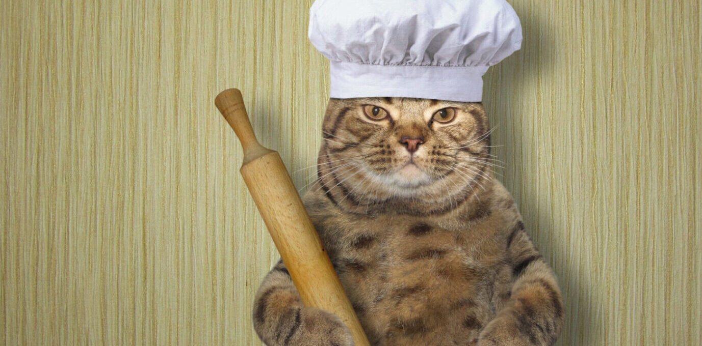 Making biscuits - cat with dough and rolling pin