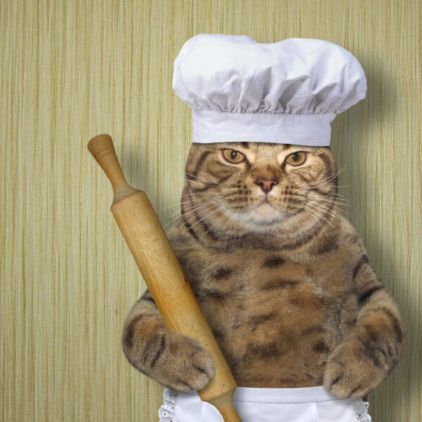 Making biscuits - cat with dough and rolling pin