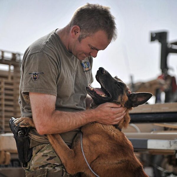serviceman with malinois