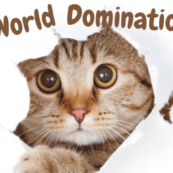 Cat world domination day