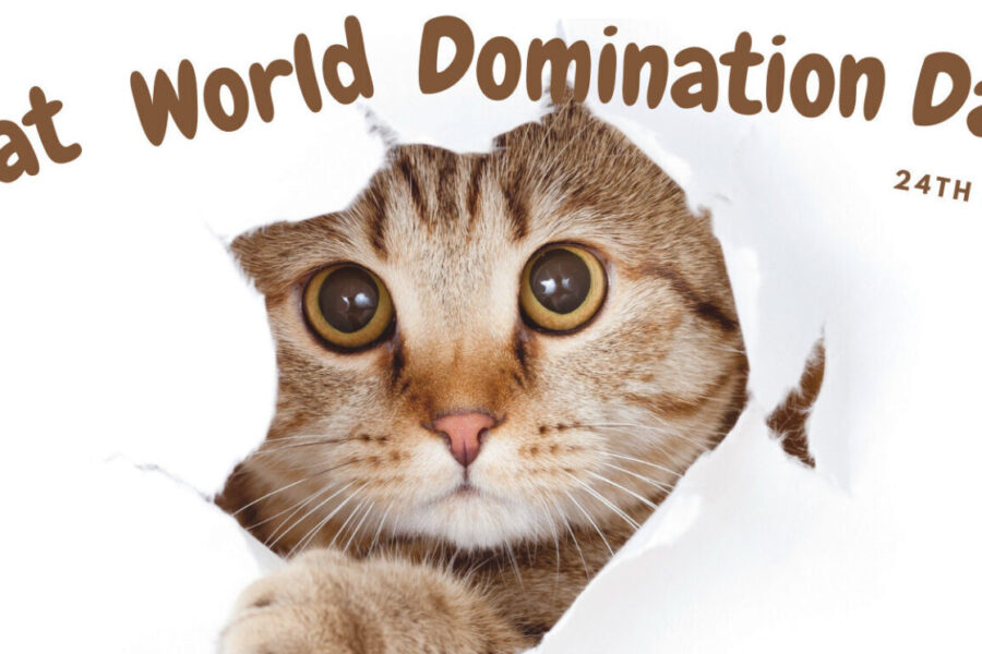 Cat world domination day